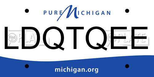 LDQTQEE Michigan License Plate