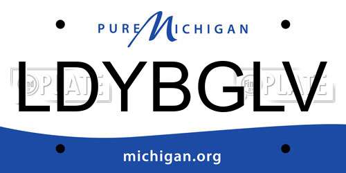 LDYBGLV Michigan License Plate