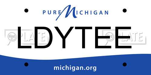 LDYTEE Michigan License Plate