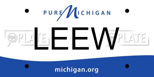 LEEW Michigan License Plate