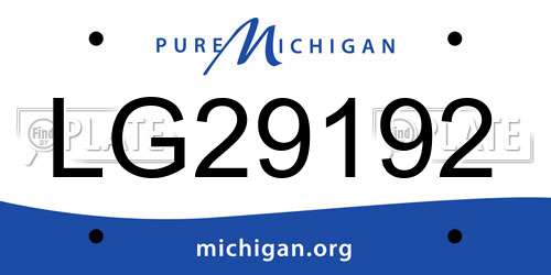 LG29192 Michigan License Plate