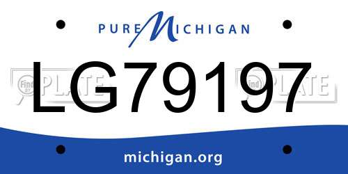 LG79197 Michigan License Plate