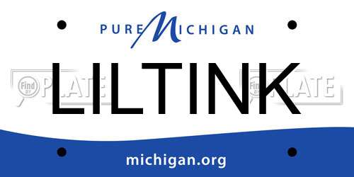 LILTINK Michigan License Plate