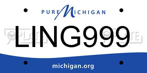 LING999 Michigan License Plate