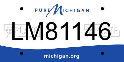 LM81146 Michigan License Plate