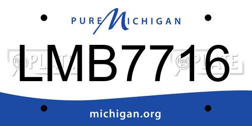 LMB7716 Michigan License Plate