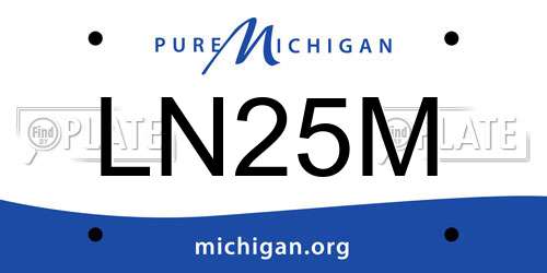 LN25M Michigan License Plate