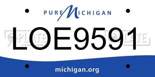 LOE9591 Michigan License Plate