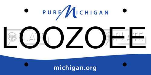 LOOZOEE Michigan License Plate