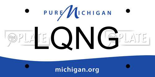 LQNG Michigan License Plate
