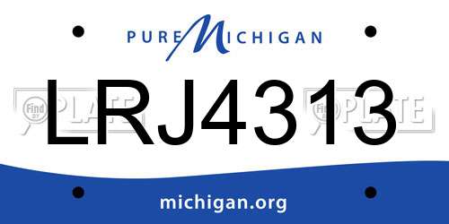 LRJ4313 Michigan License Plate