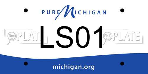 LS01 Michigan License Plate