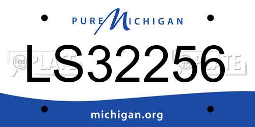 LS32256 Michigan License Plate