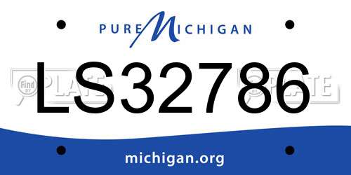 LS32786 Michigan License Plate