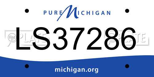 LS37286 Michigan License Plate
