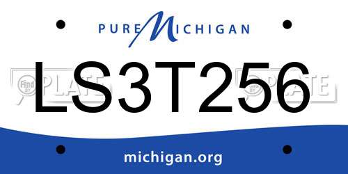 LS3T256 Michigan License Plate