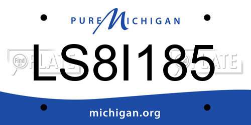 LS8I185 Michigan License Plate
