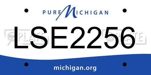 LSE2256 Michigan License Plate