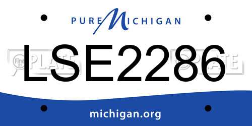 LSE2286 Michigan License Plate