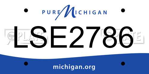 LSE2786 Michigan License Plate