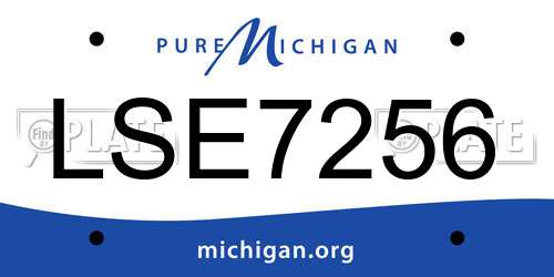 LSE7256 Michigan License Plate