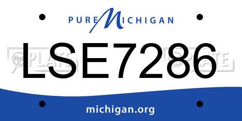 LSE7286 Michigan License Plate