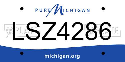 LSZ4286 Michigan License Plate
