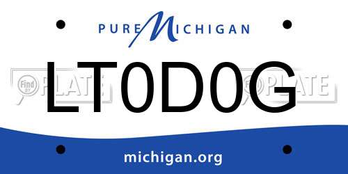 LT0D0G Michigan License Plate
