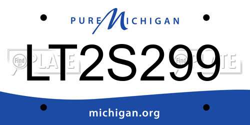 LT2S299 Michigan License Plate
