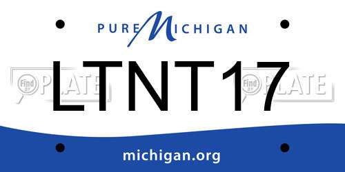 LTNT17 Michigan License Plate
