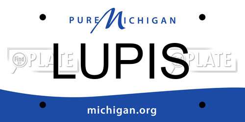 LUPIS Michigan License Plate
