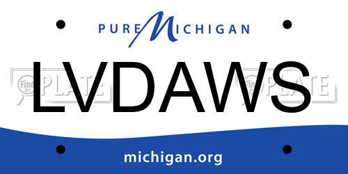 LVDAWS Michigan License Plate