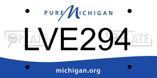 LVE294 Michigan License Plate