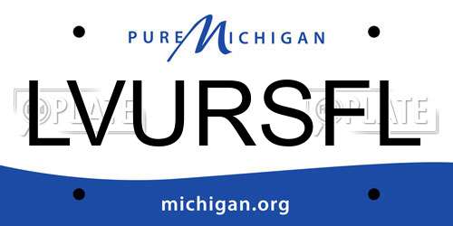 LVURSFL Michigan License Plate