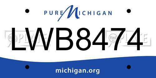 LWB8474 Michigan License Plate