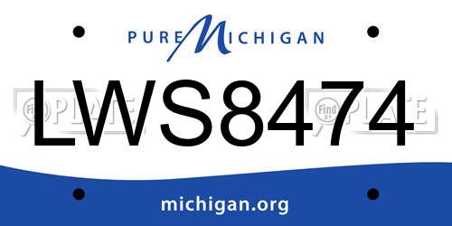 LWS8474 Michigan License Plate