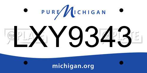 LXY9343 Michigan License Plate