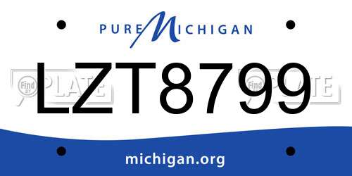 LZT8799 Michigan License Plate