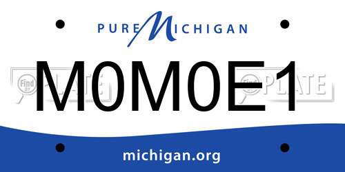 M0M0E1 Michigan License Plate