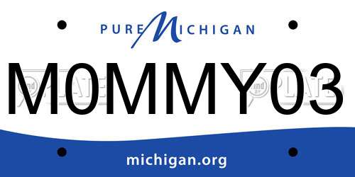 M0MMY03 Michigan License Plate