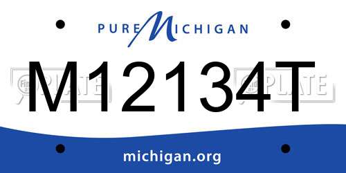 M12134T Michigan License Plate