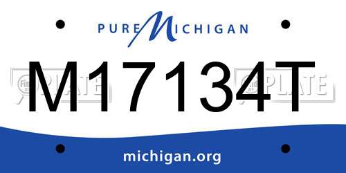 M17134T Michigan License Plate