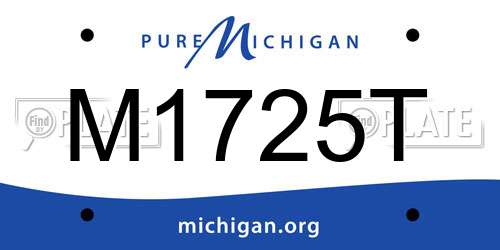M1725T Michigan License Plate
