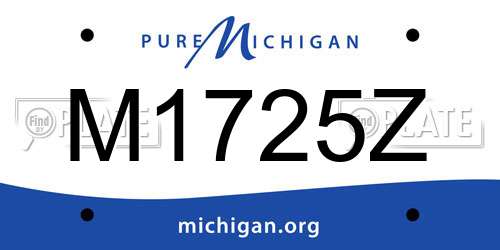 M1725Z Michigan License Plate