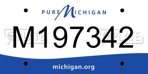 M197342 Michigan License Plate