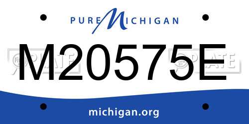 M20575E Michigan License Plate