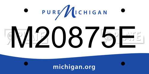 M20875E Michigan License Plate
