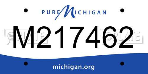 M217462 Michigan License Plate