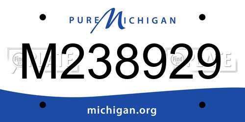 M238929 Michigan License Plate