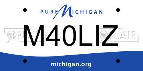 M40LIZ Michigan License Plate